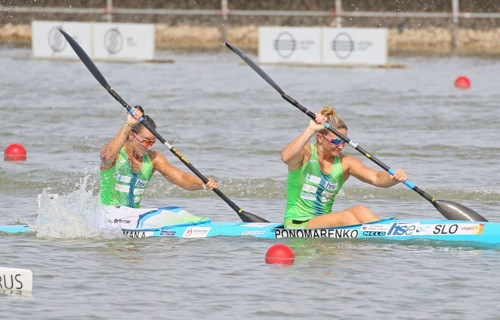Osterman in Ponomarenko 2019