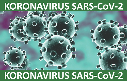 koronavirus-zelen-logo