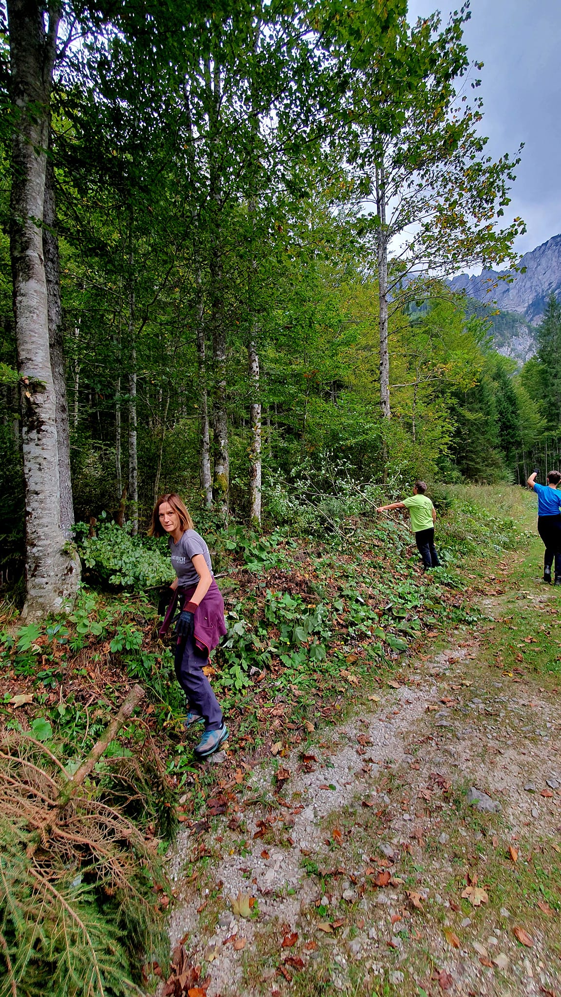 Delovna akcija Logarska dolina_2