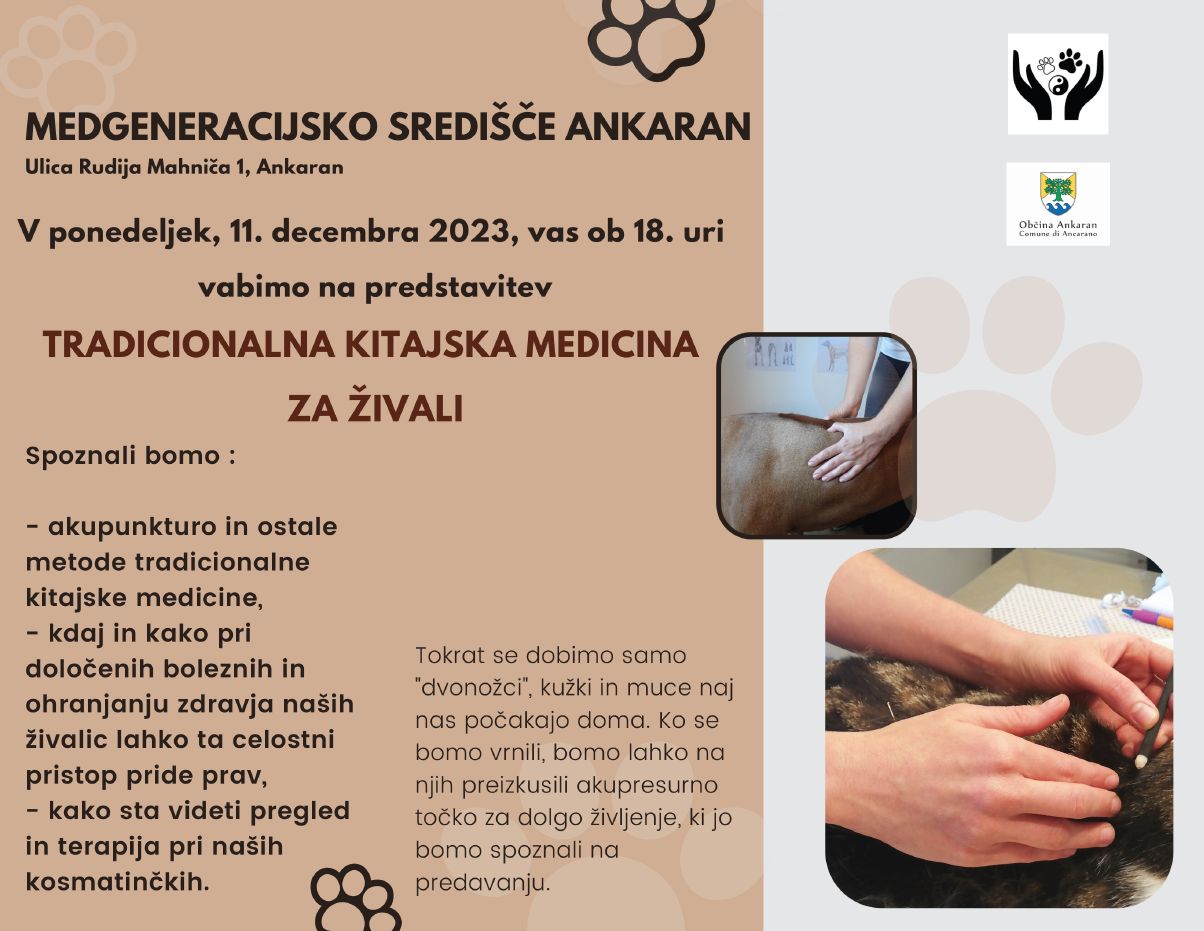 Kitajska medicina za živali