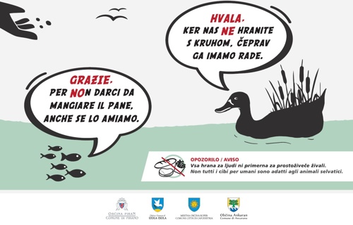 Plakat hranjenje živali