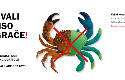 Živali niso igrače banner