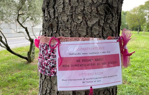 Rožnati oktober 2025 2